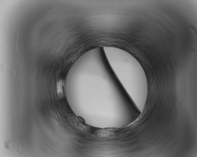 X0000100380094200806060836