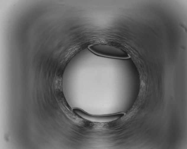 X0000100380096200806060836