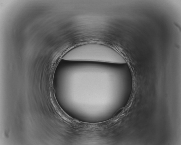 X0000100380097200806060836