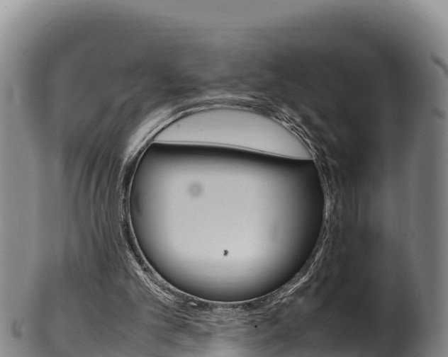 X0000100380101200806060836