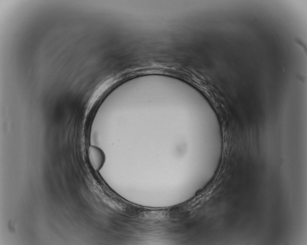 X0000100380102200806060836