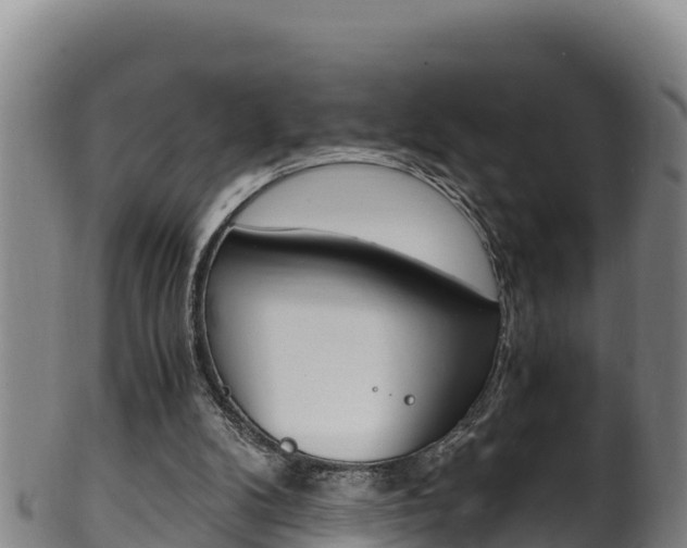 X0000100380104200806060835
