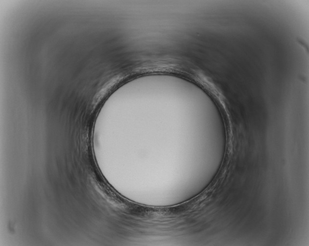 X0000100380107200806060835