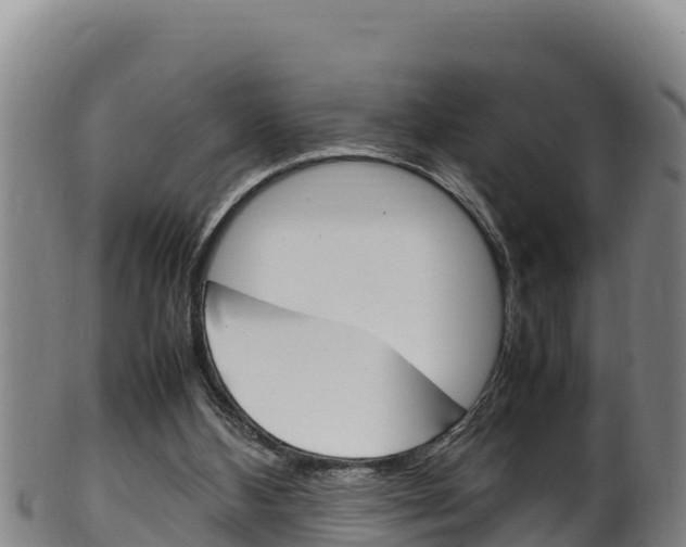 X0000100380108200806060835