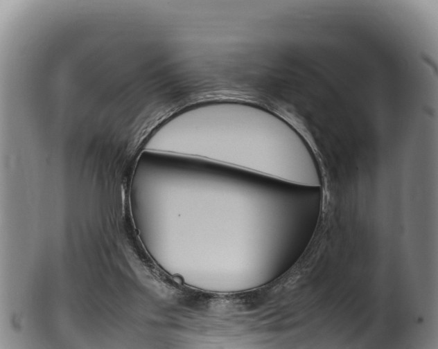 X0000100380109200806060835