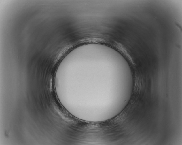 X0000100380110200806060835