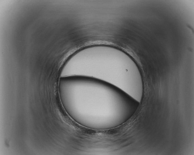 X0000100380111200806060835