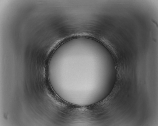 X0000100380112200806060835