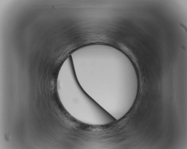 X0000100380113200806060835