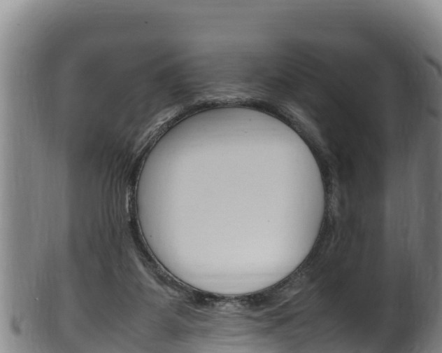 X0000100380115200806060835
