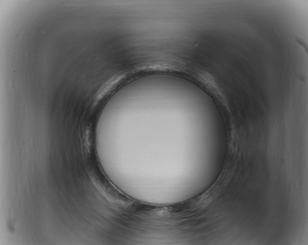 X0000100380116200806060835