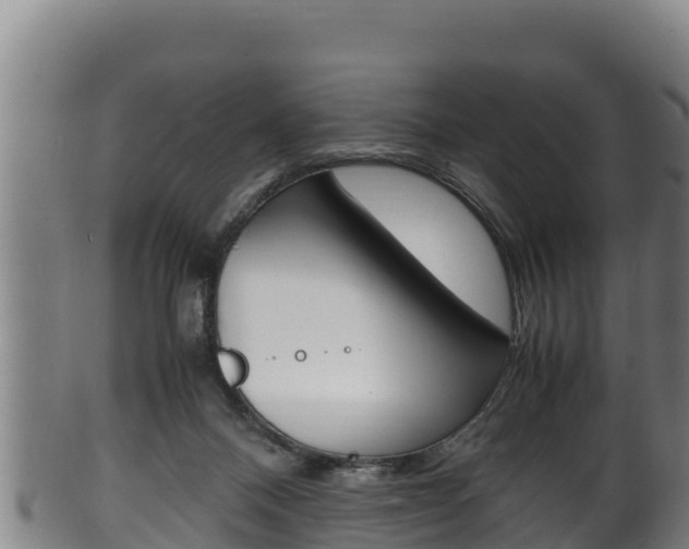 X0000100380120200806060835