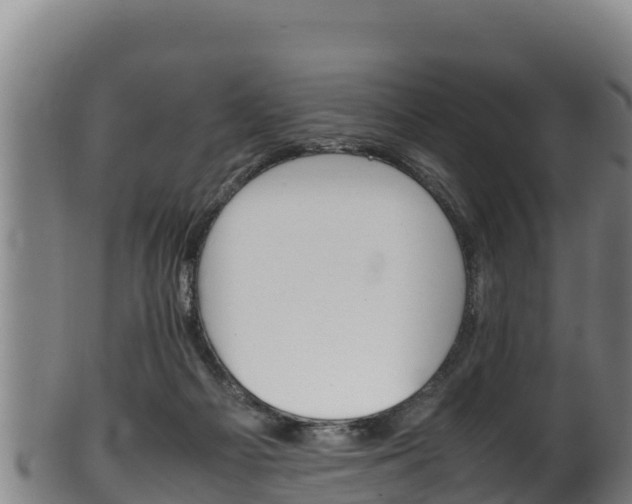 X0000100380121200806060835