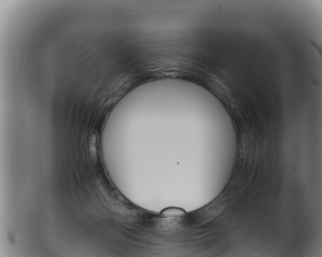 X0000100380122200806060835