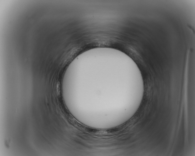 X0000100380123200806060835