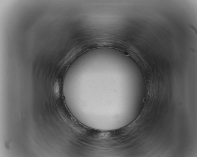X0000100380124200806060835