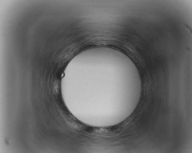 X0000100380125200806060835