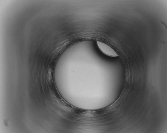 X0000100380128200806060835