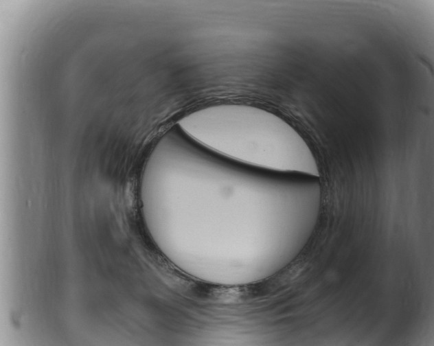 X0000100380131200806060835