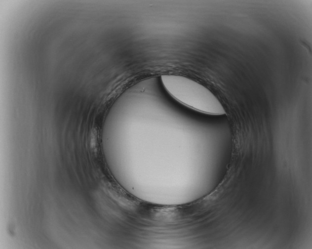 X0000100380132200806060835