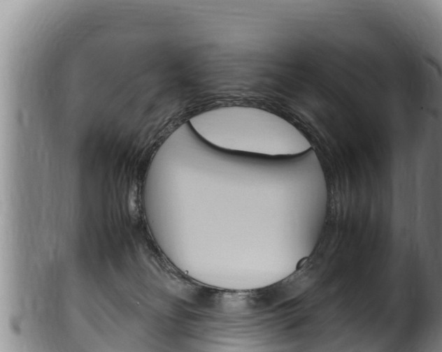 X0000100380134200806060835