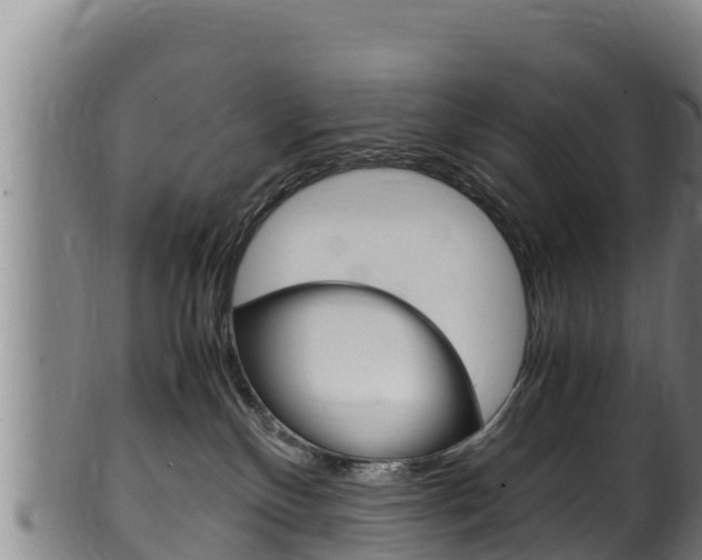X0000100380136200806060835