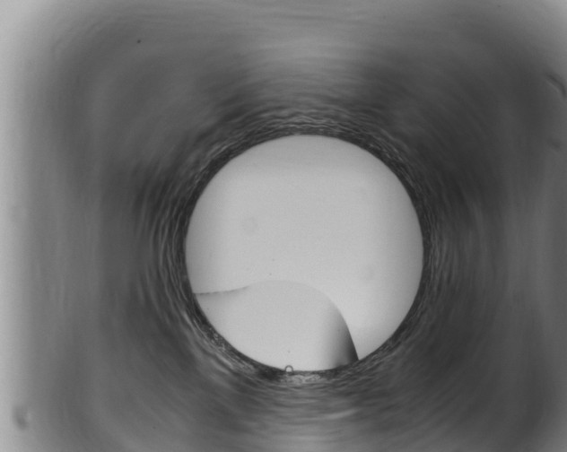 X0000100380137200806060835