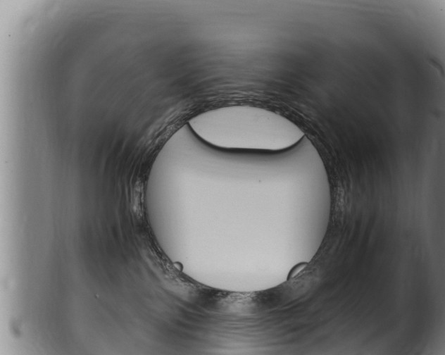 X0000100380138200806060835