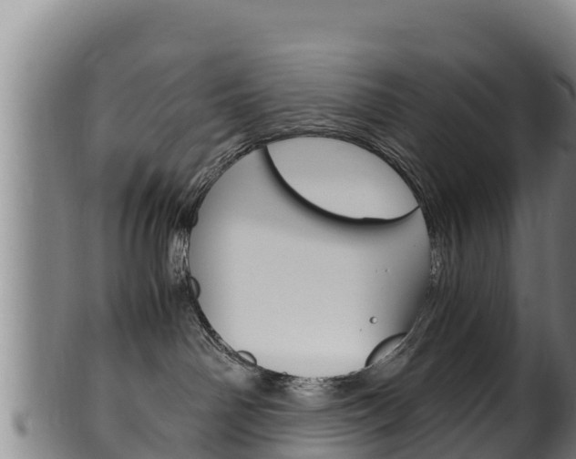 X0000100380142200806060835