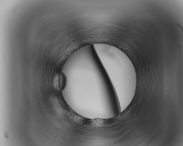 X0000100380143200806060835