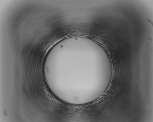 X0000100380146200806060834