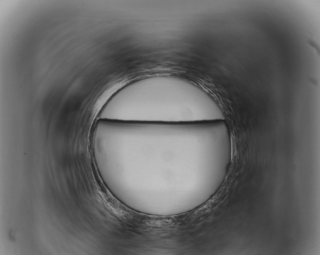 X0000100380147200806060834