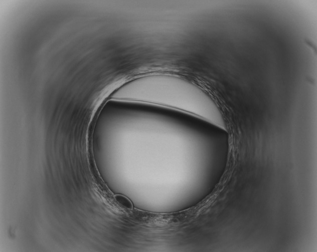 X0000100380148200806060834