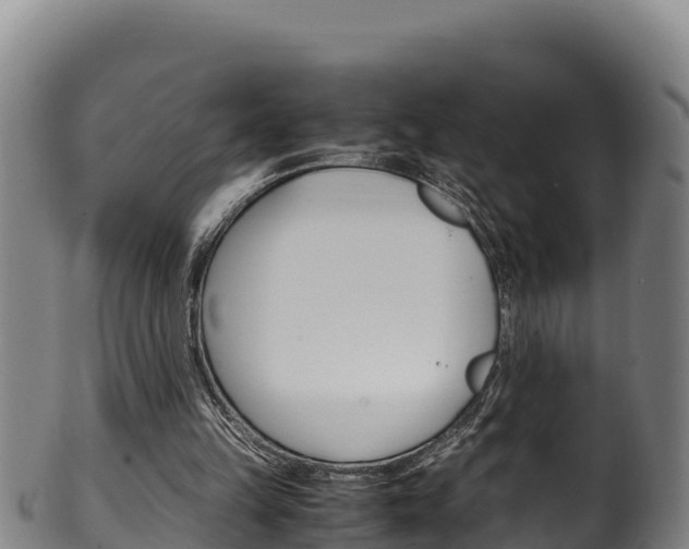 X0000100380149200806060834
