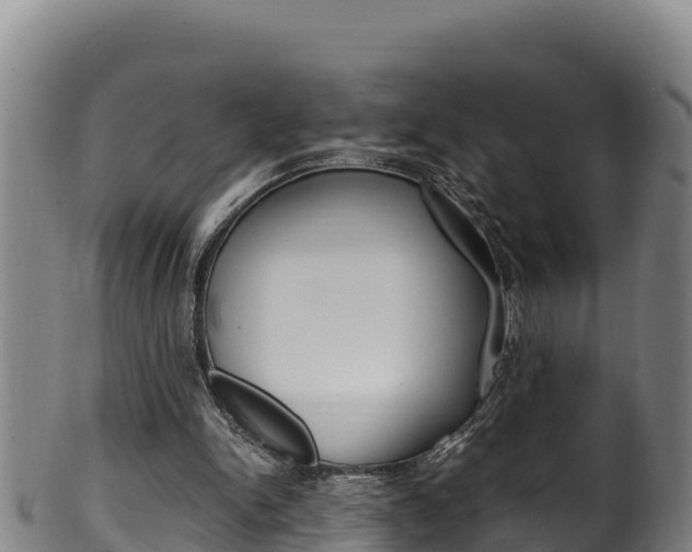 X0000100380150200806060834
