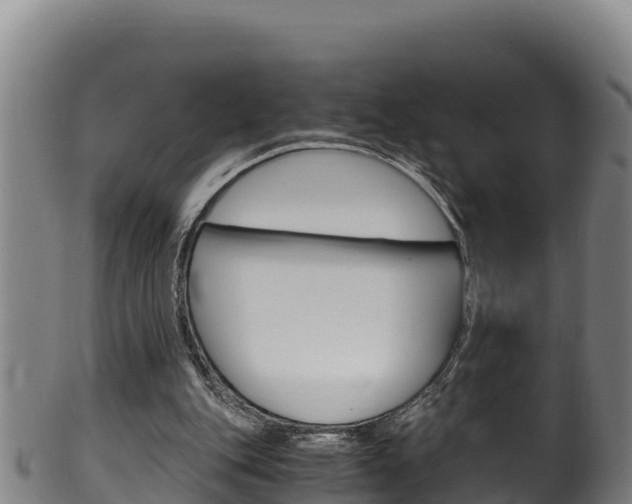 X0000100380151200806060834