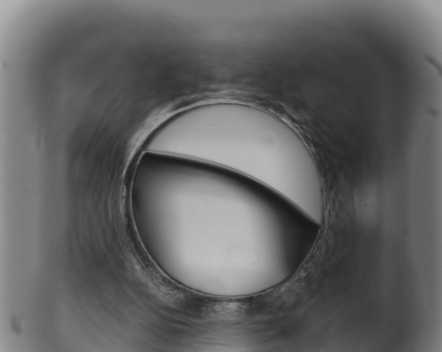 X0000100380152200806060834