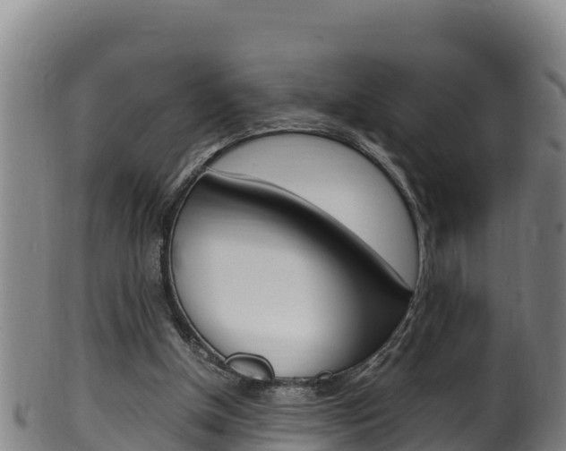X0000100380154200806060834