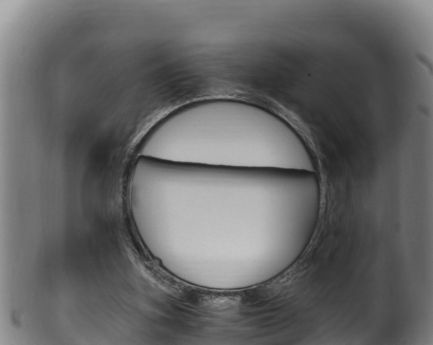 X0000100380155200806060834