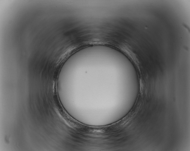 X0000100380157200806060834