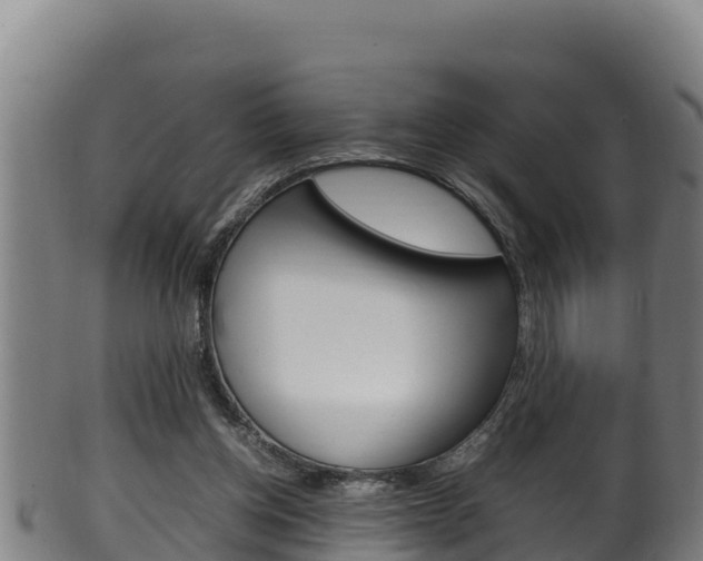 X0000100380158200806060834