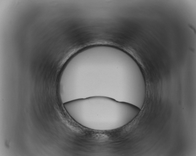 X0000100380159200806060834