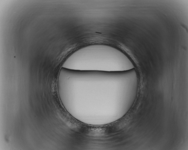 X0000100380161200806060834