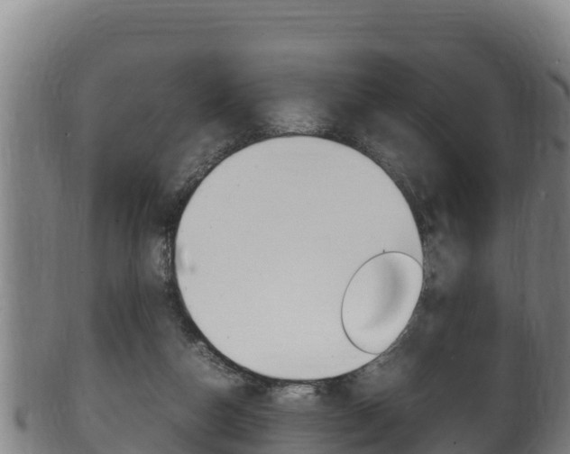X0000100380162200806060834