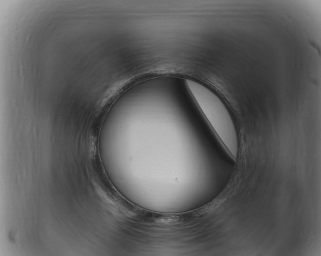 X0000100380164200806060835