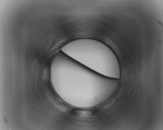 X0000100380165200806060835