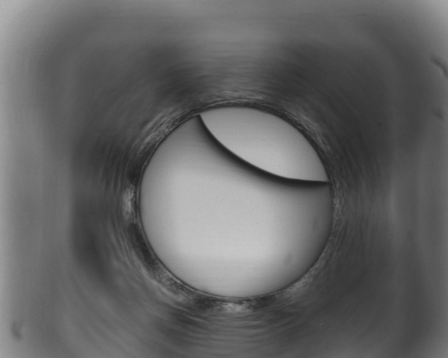 X0000100380166200806060835
