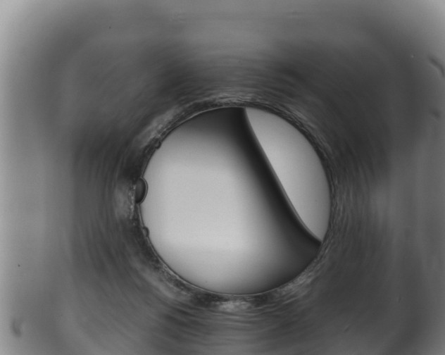 X0000100380168200806060835