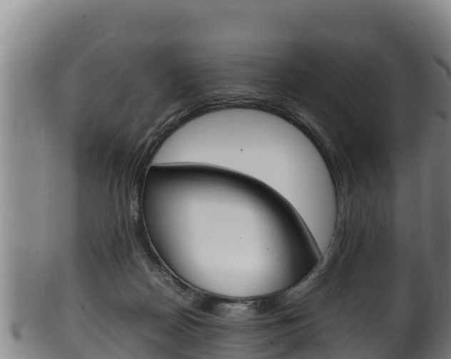 X0000100380170200806060835