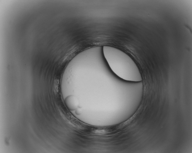 X0000100380171200806060835